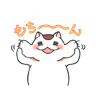 ゆるネコぽっけ（個別スタンプ：21）