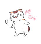ゆるネコぽっけ（個別スタンプ：22）