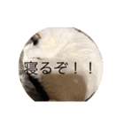 fuu_20200319200606（個別スタンプ：2）