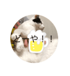 fuu_20200319200606（個別スタンプ：3）