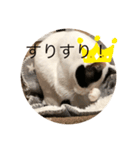fuu_20200319200606（個別スタンプ：4）