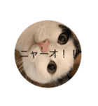 fuu_20200319200606（個別スタンプ：6）