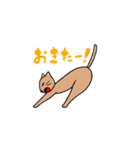 日常会話に使えるにゃんこ（個別スタンプ：3）
