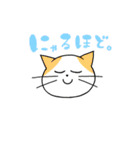 日常会話に使えるにゃんこ（個別スタンプ：19）