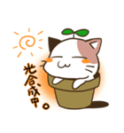 植木ねこ（個別スタンプ：1）