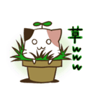植木ねこ（個別スタンプ：6）