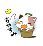 植木ねこ（個別スタンプ：7）