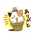 植木ねこ（個別スタンプ：11）