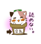 植木ねこ（個別スタンプ：16）