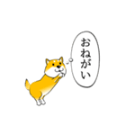 激しく尻尾をふる柴犬 ほのぼの篇（個別スタンプ：22）