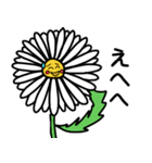 お花のある日々（個別スタンプ：5）