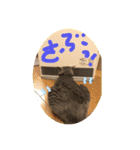 うちのハナコ！！（個別スタンプ：4）