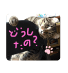 我が家のかえでさん（個別スタンプ：3）