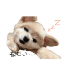 mamenosuke_sticker（個別スタンプ：4）