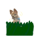 mamenosuke_sticker（個別スタンプ：5）