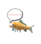 ぶーです（個別スタンプ：5）