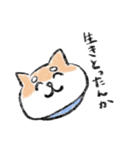 関西のしばけん②（個別スタンプ：1）