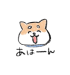 関西のしばけん②（個別スタンプ：4）