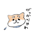 関西のしばけん②（個別スタンプ：24）