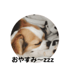 福田さん。（個別スタンプ：3）