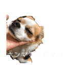 福田さん。（個別スタンプ：6）
