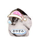 日常チョコスタンプ（個別スタンプ：2）