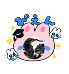 日常チョコスタンプ（個別スタンプ：3）