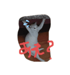 ニャンニャンニャン2（個別スタンプ：3）