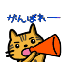 ベンガル猫のアルジェント君1（個別スタンプ：13）