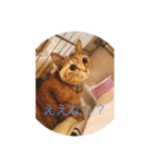 めめちゃんスタンプ2（個別スタンプ：5）