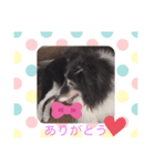スクさん（個別スタンプ：2）