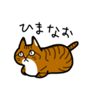 キジトラなーお（個別スタンプ：7）