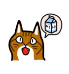 キジトラなーお（個別スタンプ：30）