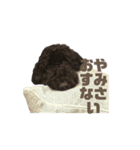 Doodle Elle is always kind.（個別スタンプ：2）