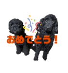 Doodle Elle is always kind.（個別スタンプ：6）