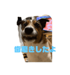 ぎんじーさん「銀次郎」（個別スタンプ：4）