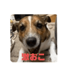 ぎんじーさん「銀次郎」（個別スタンプ：5）