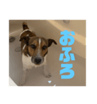ぎんじーさん「銀次郎」（個別スタンプ：7）
