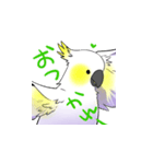 ことりのおうちスタンプvo1（個別スタンプ：4）