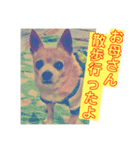 チワっぴ2（個別スタンプ：1）