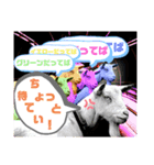 シマヒロのスタンプ（個別スタンプ：8）