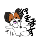 愛犬パピヨン！（個別スタンプ：3）