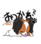 愛犬パピヨン！（個別スタンプ：6）