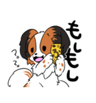 愛犬パピヨン！（個別スタンプ：7）