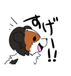 愛犬パピヨン！（個別スタンプ：8）