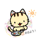 無難なねこちゃんの挨拶（個別スタンプ：1）