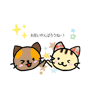 無難なねこちゃんの挨拶（個別スタンプ：5）