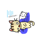 無難なねこちゃんの挨拶（個別スタンプ：9）