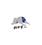 koala by Nagi Aosumi（個別スタンプ：13）