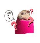 うちのポポちゃん（個別スタンプ：6）